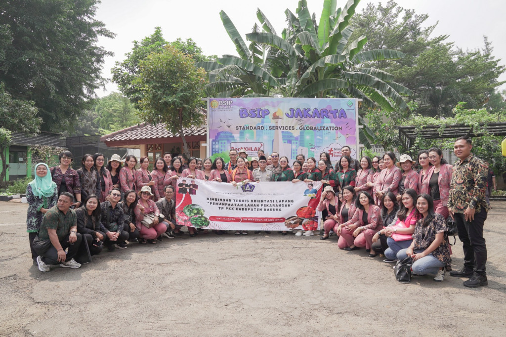 Manfaatkan Lahan Urban Farming Sebagai Solusi Ketahanan Pangan Keluarga